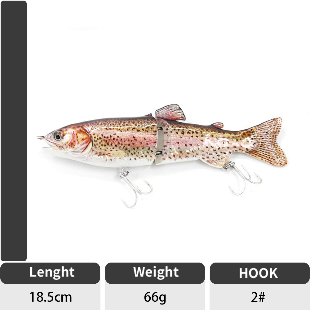 Rainbow Trout Fishing Baits, Lures Worm