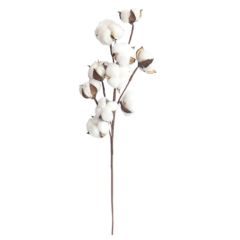 Naturellement séché coton fleur plantes artificielles branche florale  pour... | eBay