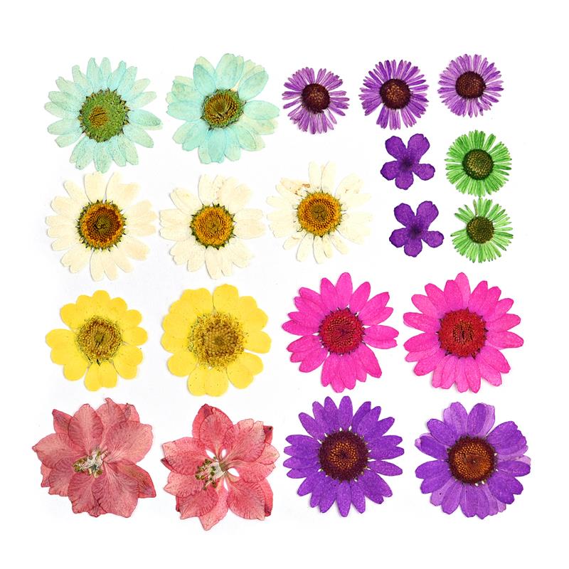 1 Pack Dried Flowers UV Resin Natural Flower Stickers Dry Beauty